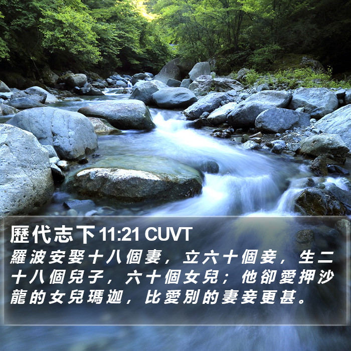 歷 代 志 下 11:21 CUVT Bible Study