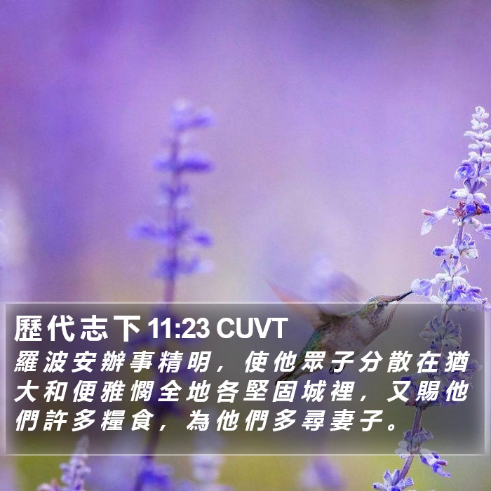 歷 代 志 下 11:23 CUVT Bible Study