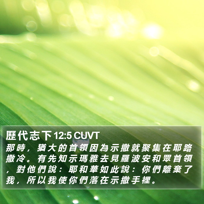 歷 代 志 下 12:5 CUVT Bible Study