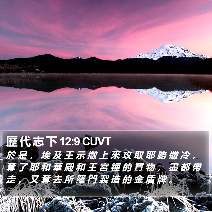 歷 代 志 下 12:9 CUVT Bible Study
