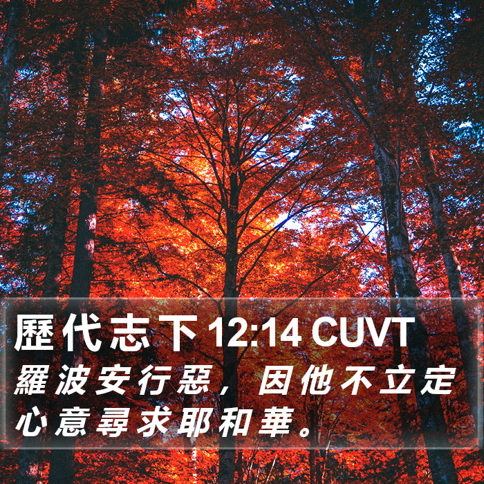 歷 代 志 下 12:14 CUVT Bible Study