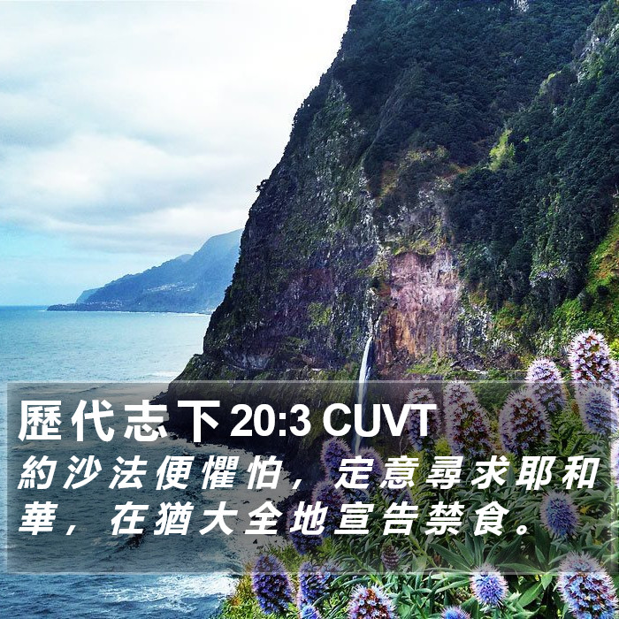 歷 代 志 下 20:3 CUVT Bible Study