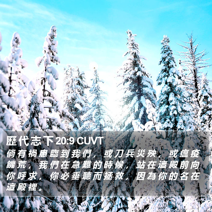 歷 代 志 下 20:9 CUVT Bible Study