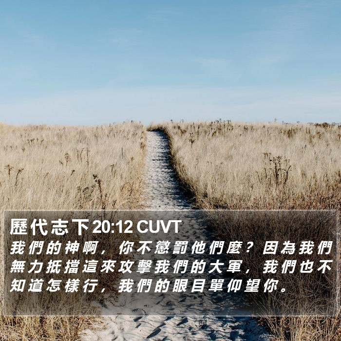 歷 代 志 下 20:12 CUVT Bible Study