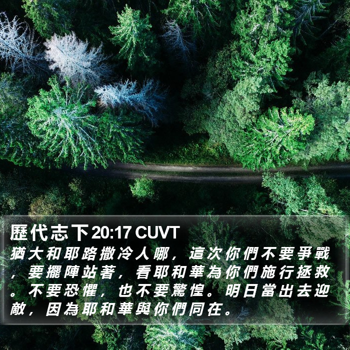 歷 代 志 下 20:17 CUVT Bible Study
