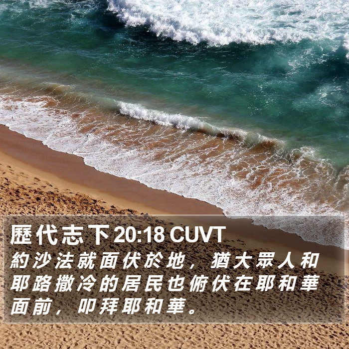 歷 代 志 下 20:18 CUVT Bible Study