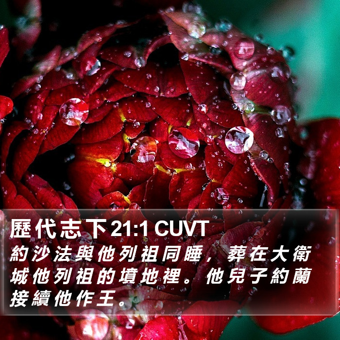 歷 代 志 下 21:1 CUVT Bible Study