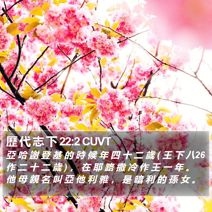 歷 代 志 下 22:2 CUVT Bible Study