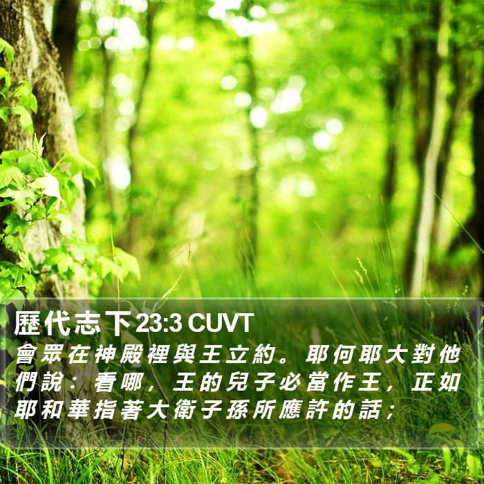 歷 代 志 下 23:3 CUVT Bible Study