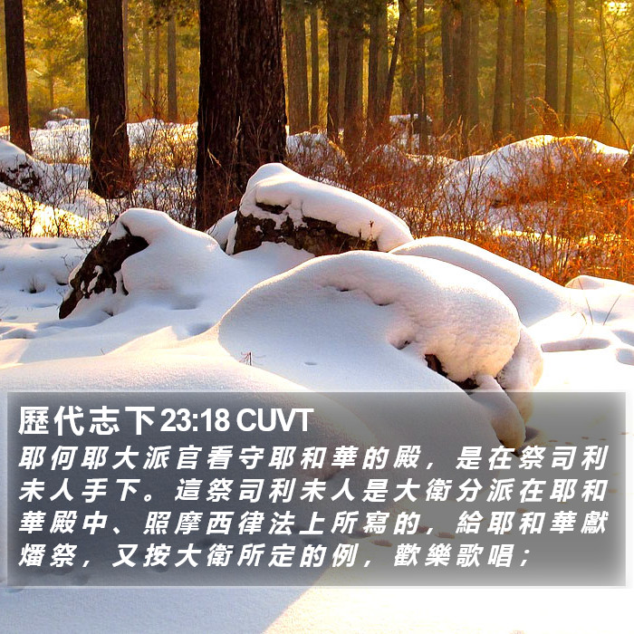 歷 代 志 下 23:18 CUVT Bible Study
