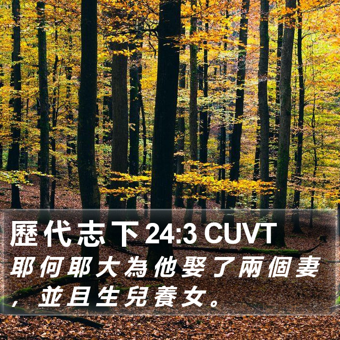 歷 代 志 下 24:3 CUVT Bible Study