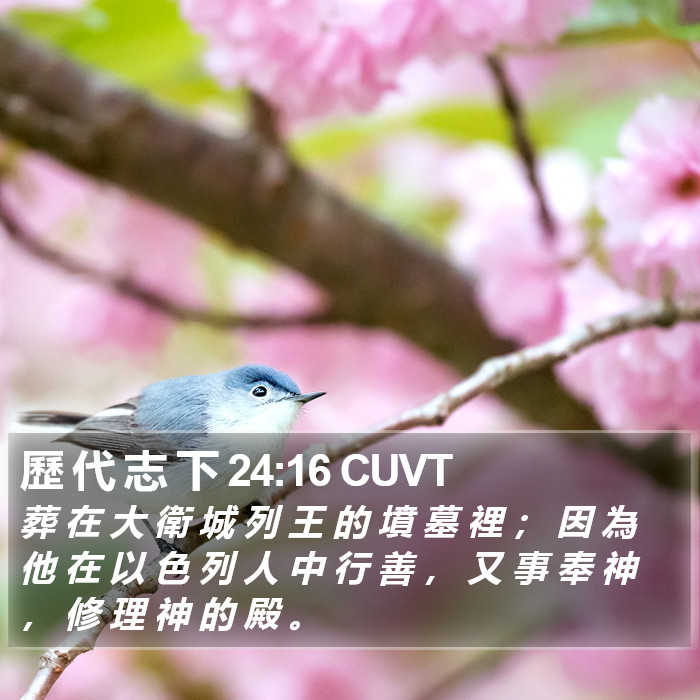 歷 代 志 下 24:16 CUVT Bible Study