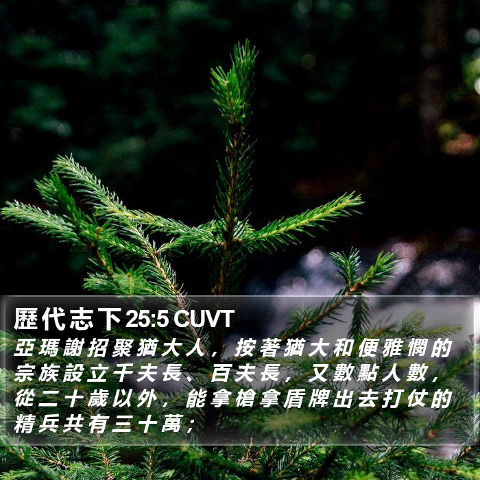 歷 代 志 下 25:5 CUVT Bible Study