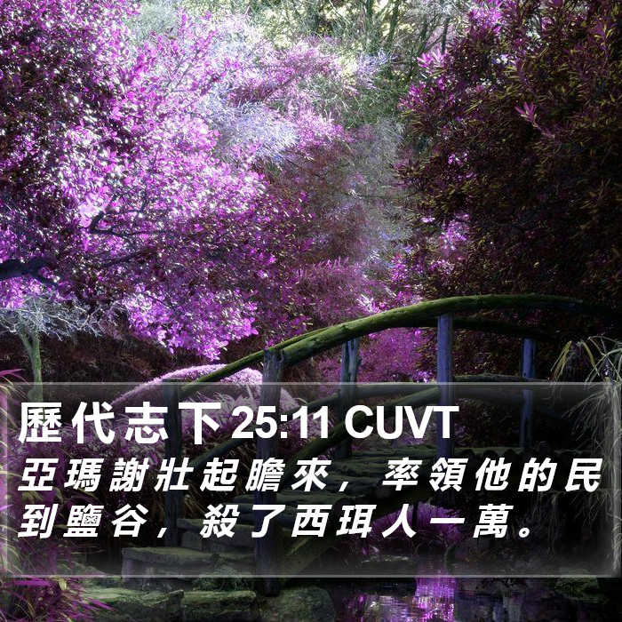 歷 代 志 下 25:11 CUVT Bible Study