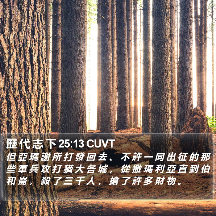 歷 代 志 下 25:13 CUVT Bible Study