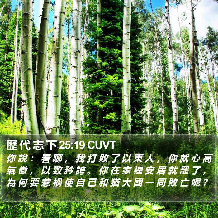 歷 代 志 下 25:19 CUVT Bible Study