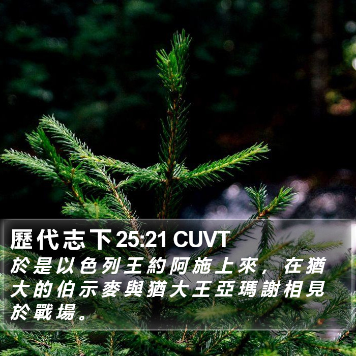 歷 代 志 下 25:21 CUVT Bible Study