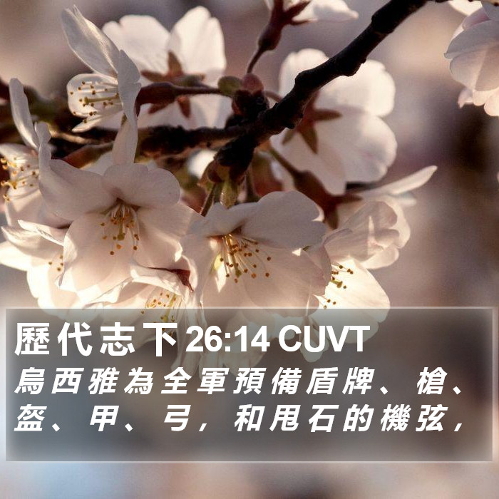 歷 代 志 下 26:14 CUVT Bible Study