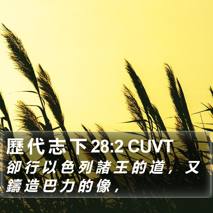 歷 代 志 下 28:2 CUVT Bible Study