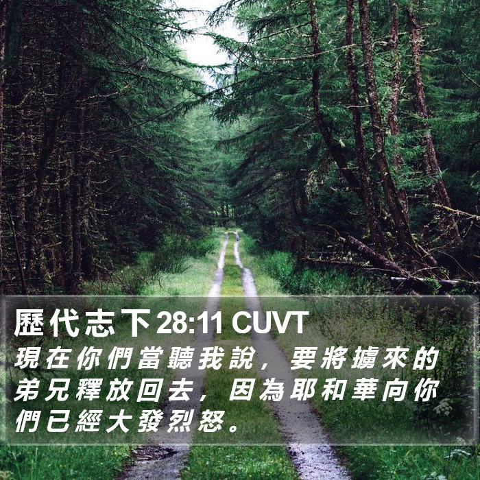 歷 代 志 下 28:11 CUVT Bible Study