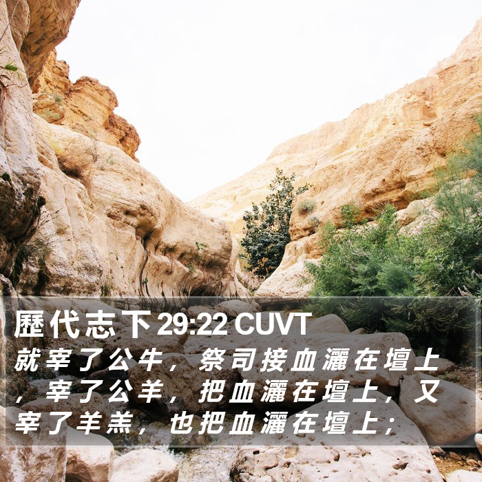 歷 代 志 下 29:22 CUVT Bible Study