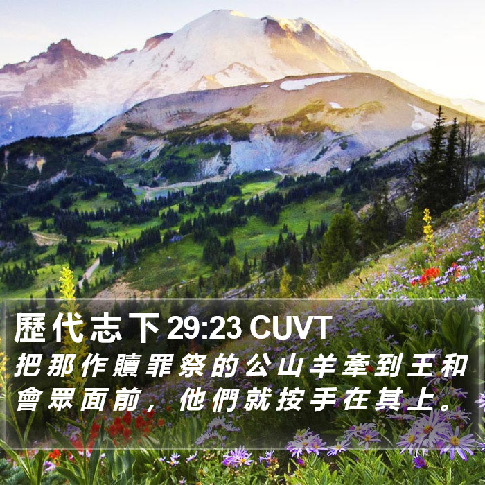 歷 代 志 下 29:23 CUVT Bible Study