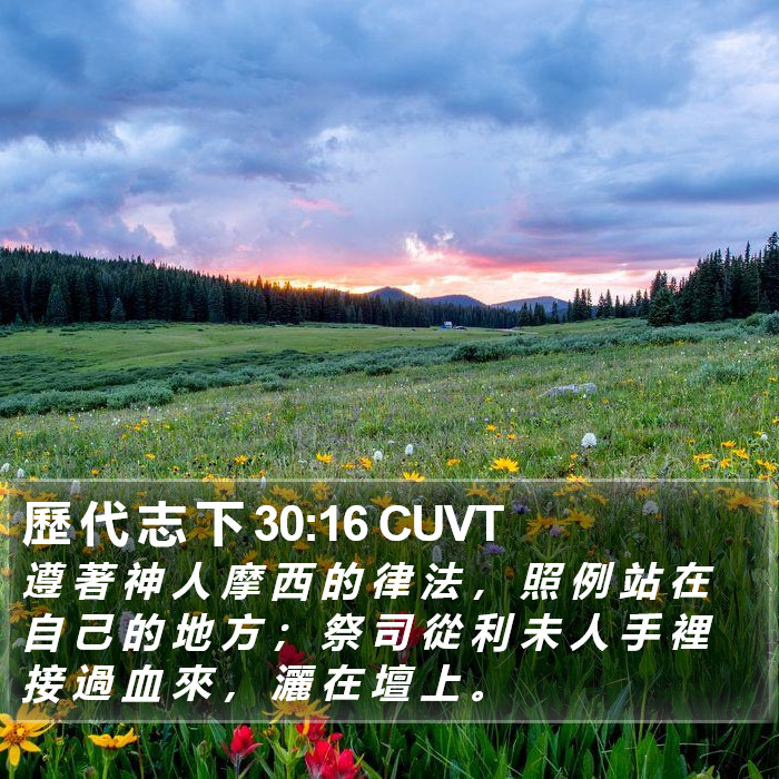 歷 代 志 下 30:16 CUVT Bible Study
