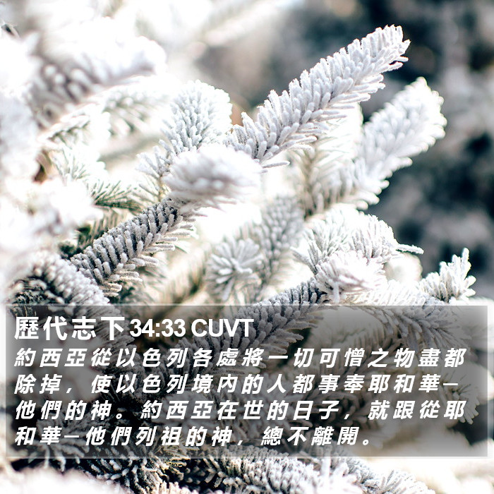 歷 代 志 下 34:33 CUVT Bible Study