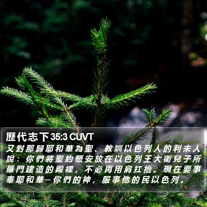 歷 代 志 下 35:3 CUVT Bible Study
