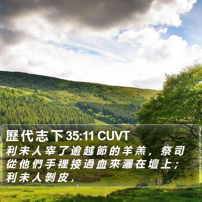 歷 代 志 下 35:11 CUVT Bible Study