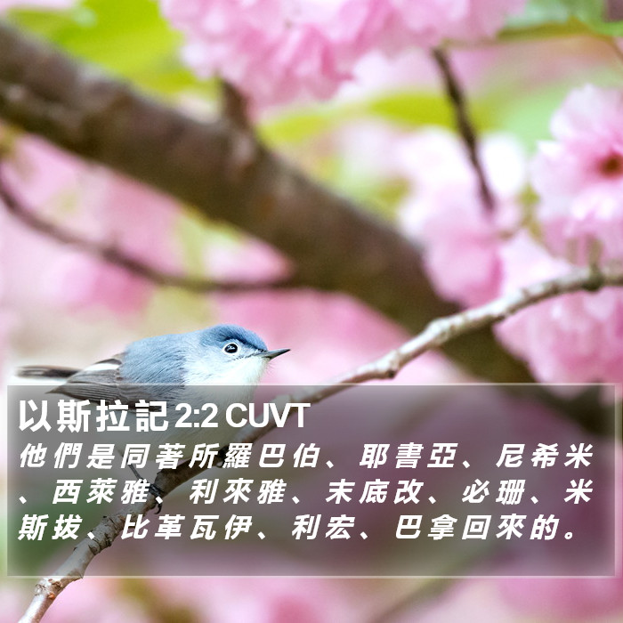以 斯 拉 記 2:2 CUVT Bible Study