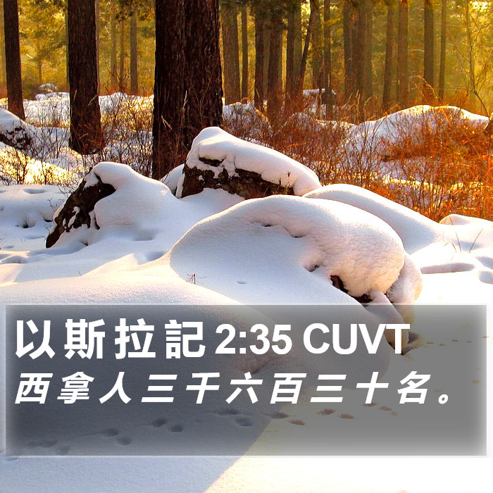 以 斯 拉 記 2:35 CUVT Bible Study