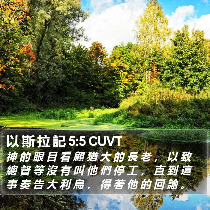 以 斯 拉 記 5:5 CUVT Bible Study