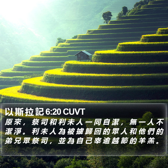 以 斯 拉 記 6:20 CUVT Bible Study