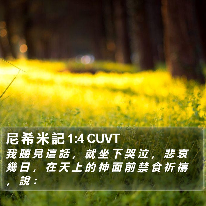 尼 希 米 記 1:4 CUVT Bible Study