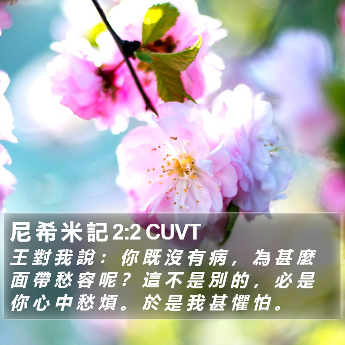 尼 希 米 記 2:2 CUVT Bible Study