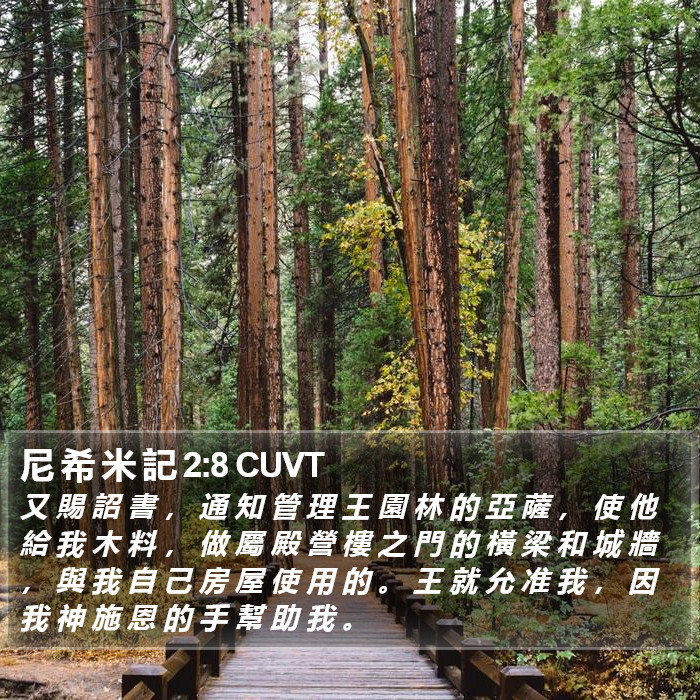 尼 希 米 記 2:8 CUVT Bible Study