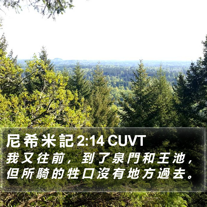 尼 希 米 記 2:14 CUVT Bible Study