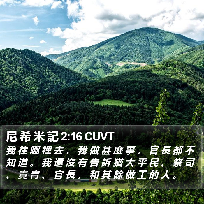 尼 希 米 記 2:16 CUVT Bible Study