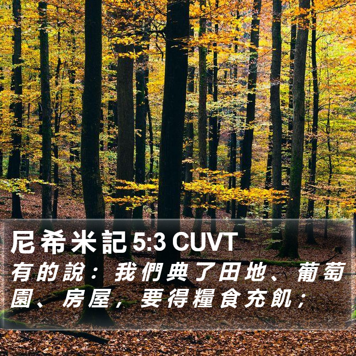 尼 希 米 記 5:3 CUVT Bible Study