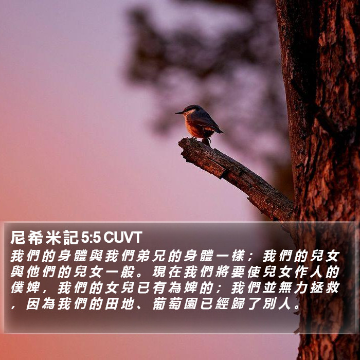 尼 希 米 記 5:5 CUVT Bible Study