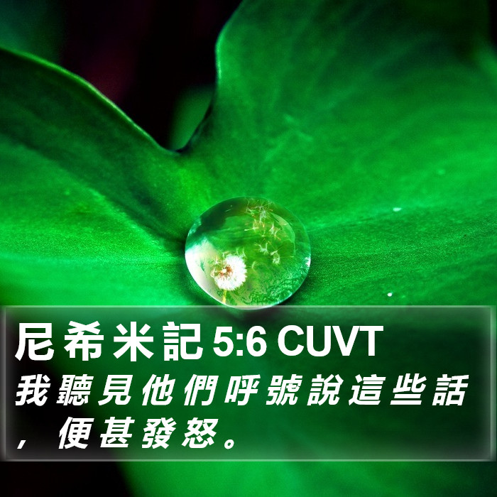 尼 希 米 記 5:6 CUVT Bible Study