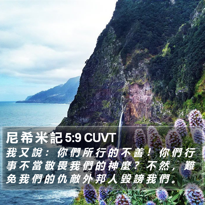尼 希 米 記 5:9 CUVT Bible Study