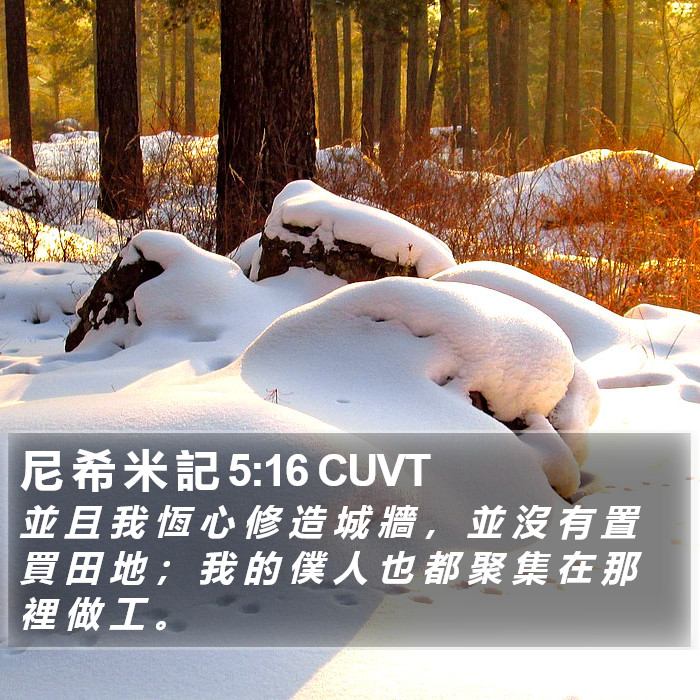 尼 希 米 記 5:16 CUVT Bible Study