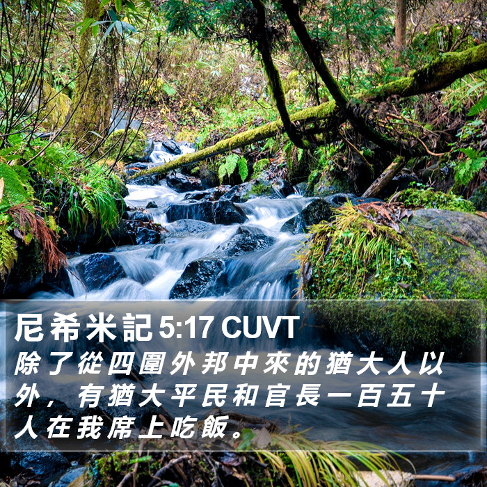 尼 希 米 記 5:17 CUVT Bible Study
