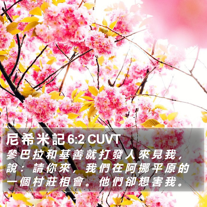 尼 希 米 記 6:2 CUVT Bible Study