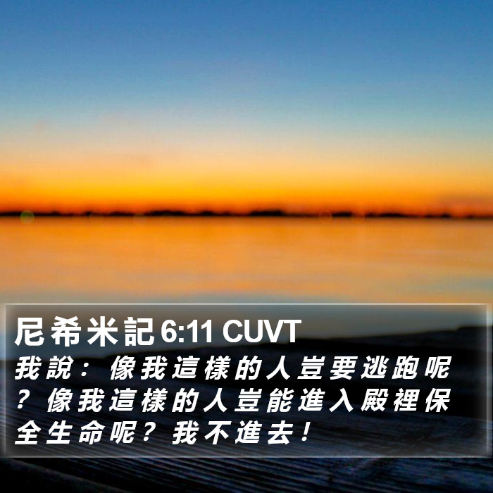 尼 希 米 記 6:11 CUVT Bible Study