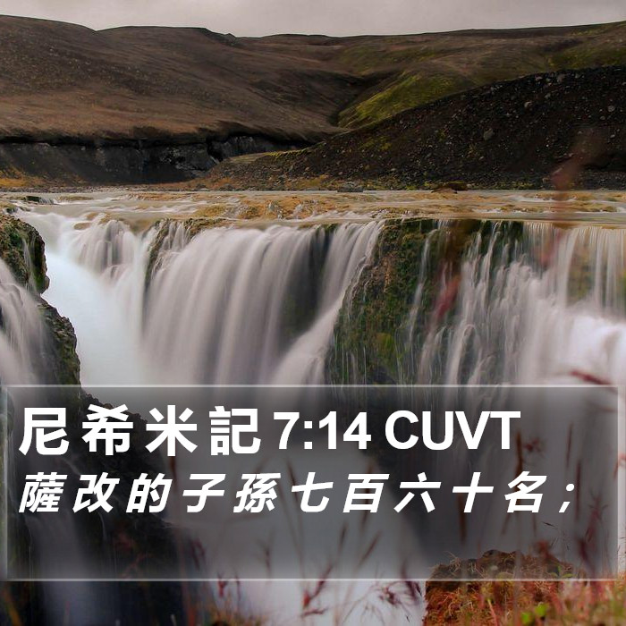 尼 希 米 記 7:14 CUVT Bible Study