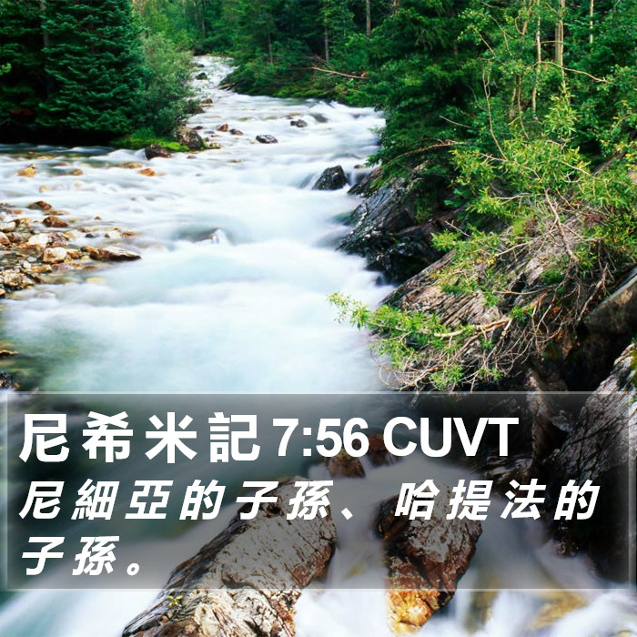 尼 希 米 記 7:56 CUVT Bible Study