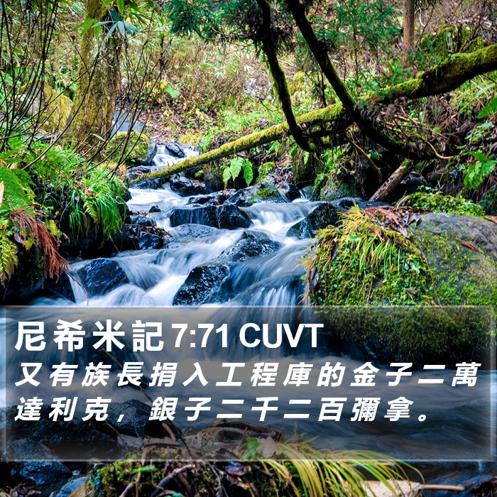 尼 希 米 記 7:71 CUVT Bible Study